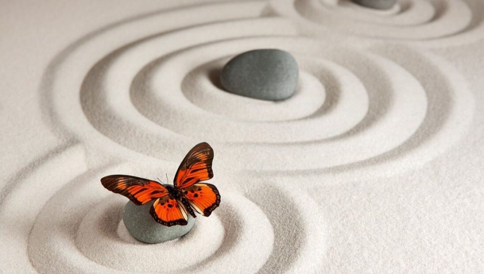 zen-5533537-1280_orig